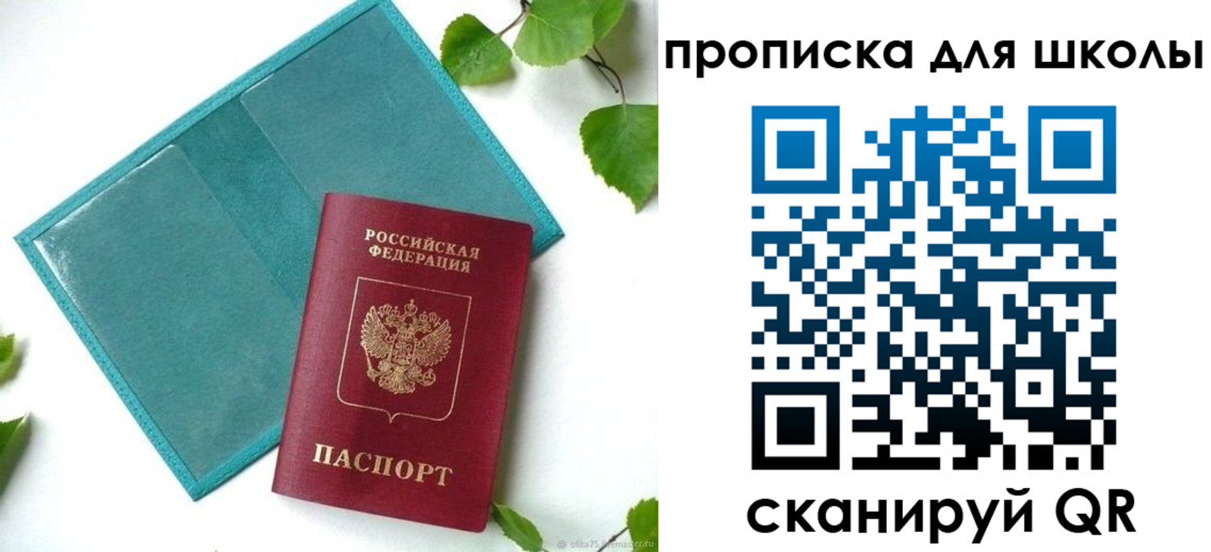 прописка в Ярославской области